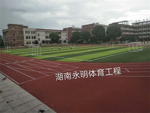 星源学校200米透气型跑道和人造草足球场