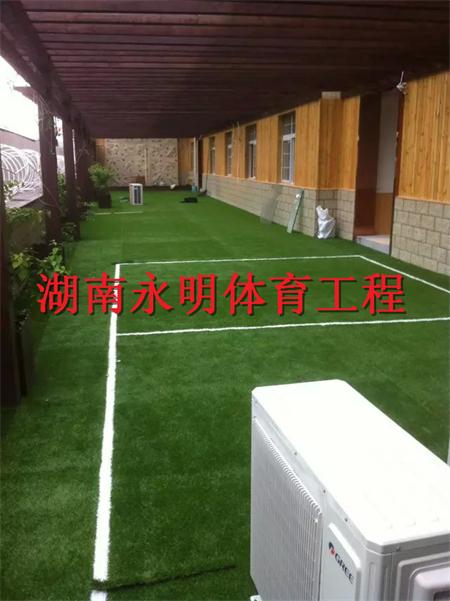 岳阳幼儿园人造草足球场